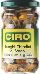 chiodinidibosco_olio_1