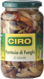 fantasiadifunghi_1