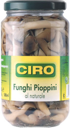 funghipioppini_nat_1