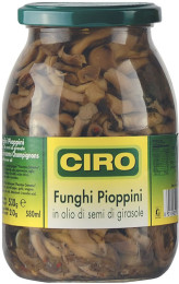 pioppini_olio_2